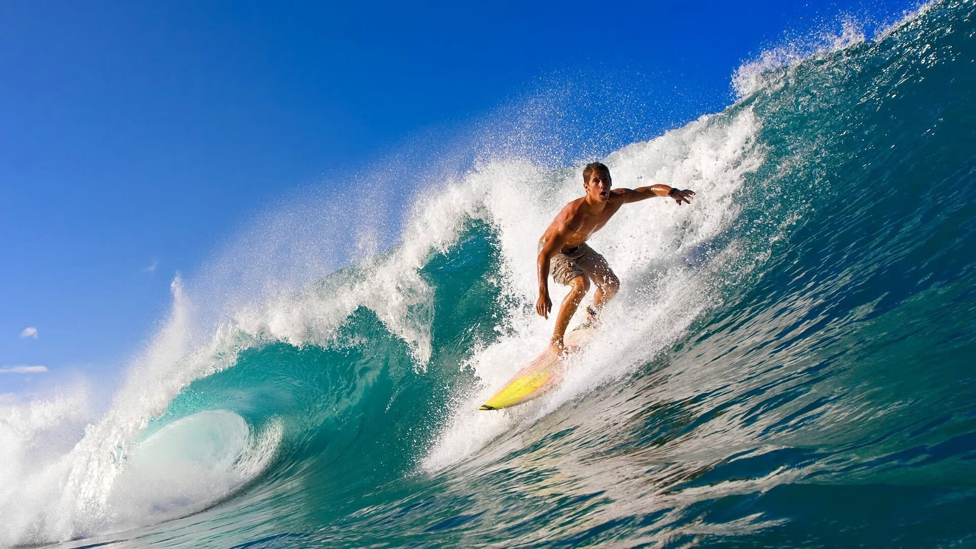 搏击赛事加入传统武术环节引发关注,参加搏击比赛