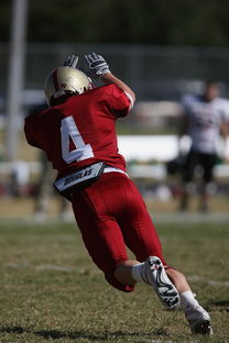 开云网页版-明星球员社会影响力不断扩大，影响力 球员 心中 觉得